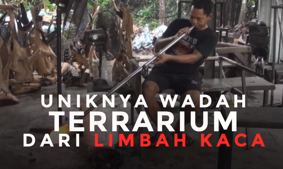 Limbah Kaca Jadi Rupiah Karena Terrarium - Kompas TV